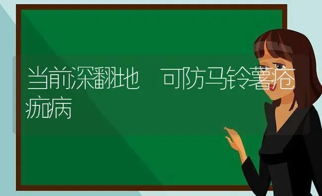 当前深翻地 可防马铃薯疮痂病 | 粮油作物种植