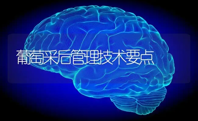 葡萄采后管理技术要点 | 瓜果种植