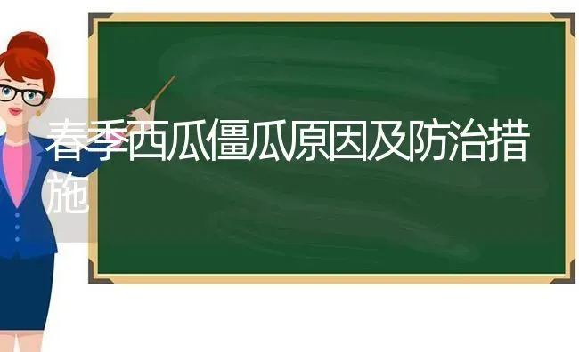 春季西瓜僵瓜原因及防治措施 | 瓜果种植