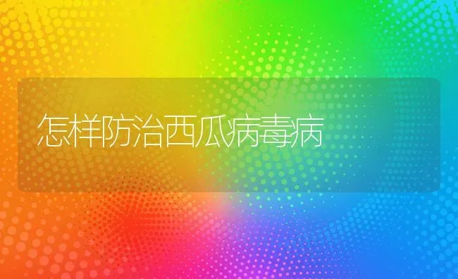 怎样防治西瓜病毒病 | 瓜果种植