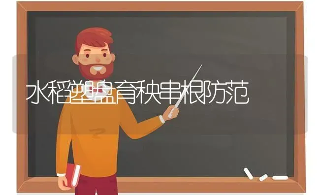 水稻塑盘育秧串根防范 | 粮油作物种植