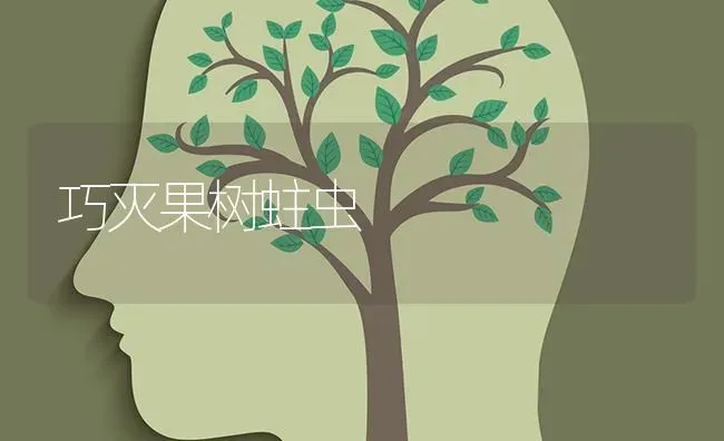 巧灭果树蛀虫 | 瓜果种植