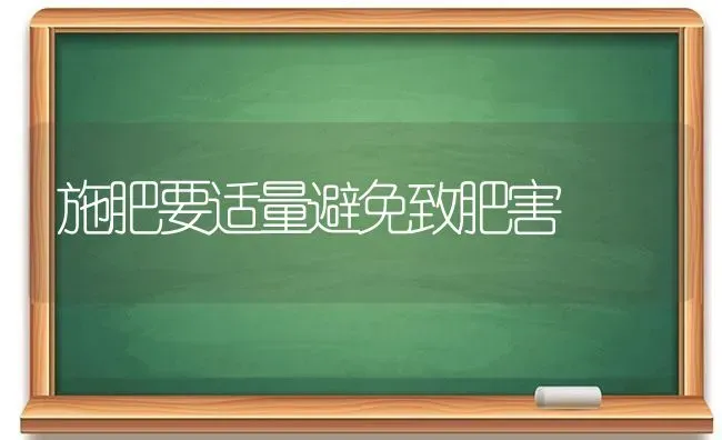 施肥要适量避免致肥害 | 种植肥料施肥