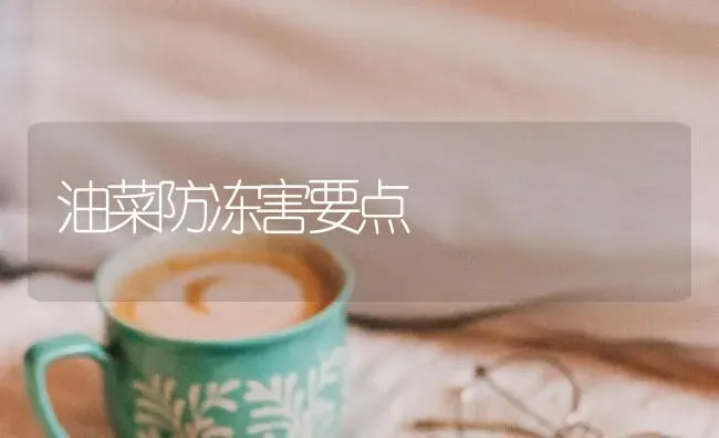 油菜防冻害要点 | 粮油作物种植