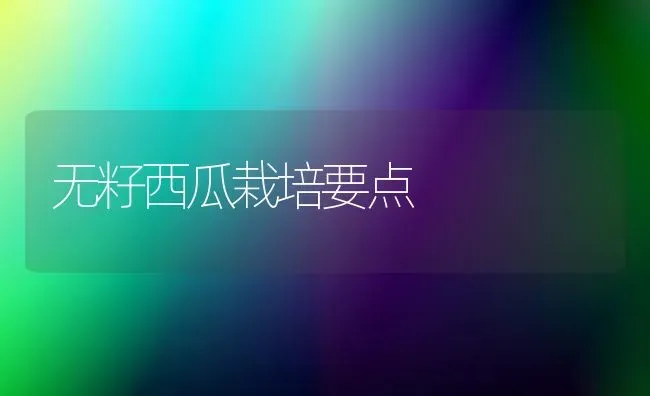 无籽西瓜栽培要点 | 瓜果种植