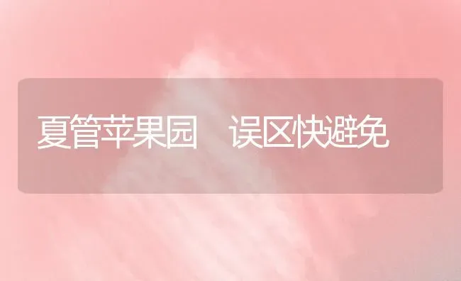 夏管苹果园 误区快避免 | 瓜果种植