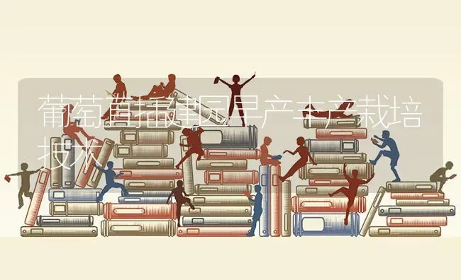 葡萄直插建园早产丰产栽培技术 | 瓜果种植