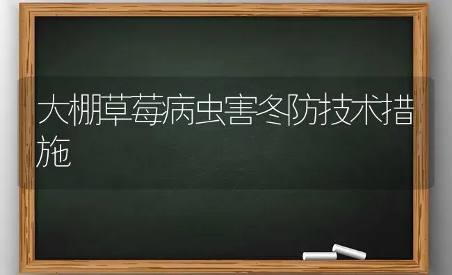 大棚草莓病虫害冬防技术措施 | 种植病虫害防治