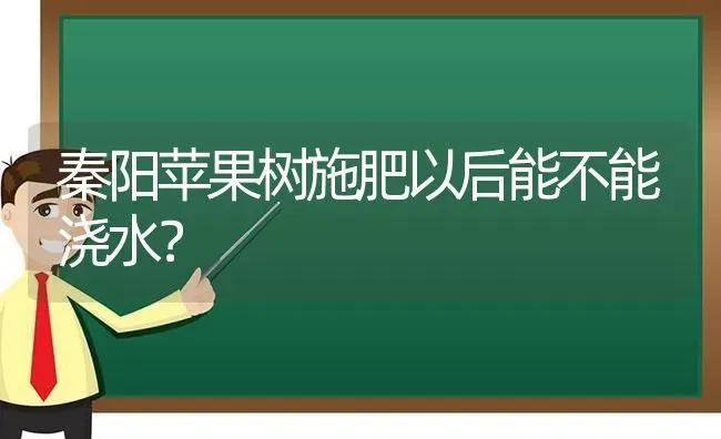 秦阳苹果树施肥以后能不能浇水？ | 瓜果种植