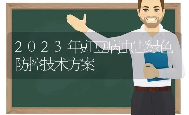 2023年豇豆病虫害绿色防控技术方案 | 种植病虫害防治