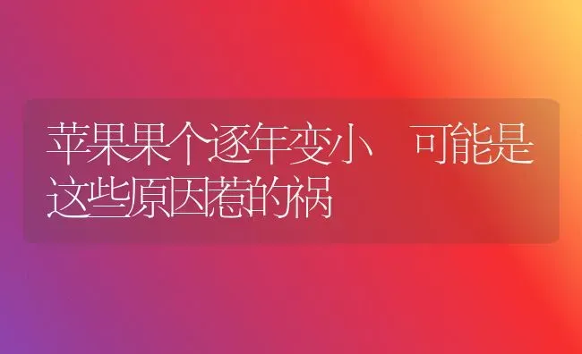 苹果果个逐年变小 可能是这些原因惹的祸 | 瓜果种植