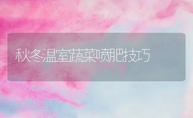 秋冬温室蔬菜喷肥技巧 | 蔬菜种植