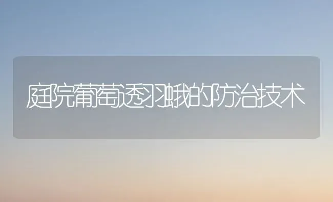 庭院葡萄透羽蛾的防治技术 | 瓜果种植