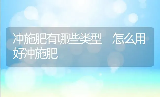 冲施肥有哪些类型 怎么用好冲施肥 | 种植肥料施肥