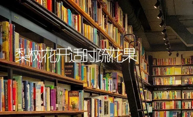 梨树花开适时疏花果 | 瓜果种植