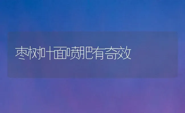 枣树叶面喷肥有奇效 | 瓜果种植