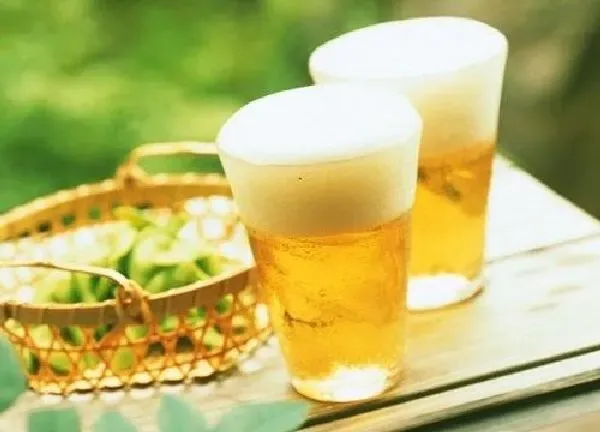 植物浇水|废啤酒浇花的正确方法 对花有什么好处