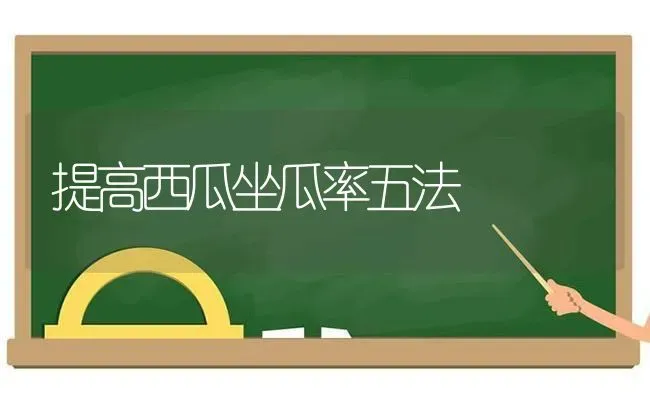 提高西瓜坐瓜率五法 | 瓜果种植