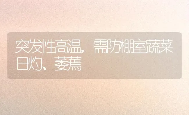 突发性高温，需防棚室蔬菜日灼、萎蔫 | 蔬菜种植
