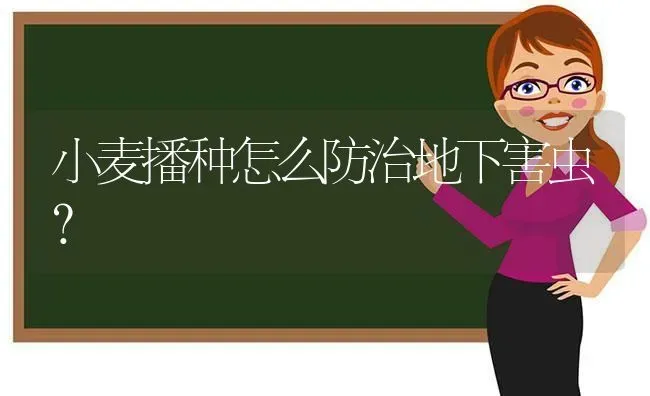 小麦播种怎么防治地下害虫？ | 粮油作物种植