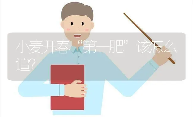 小麦开春“第一肥”该怎么追？ | 粮油作物种植