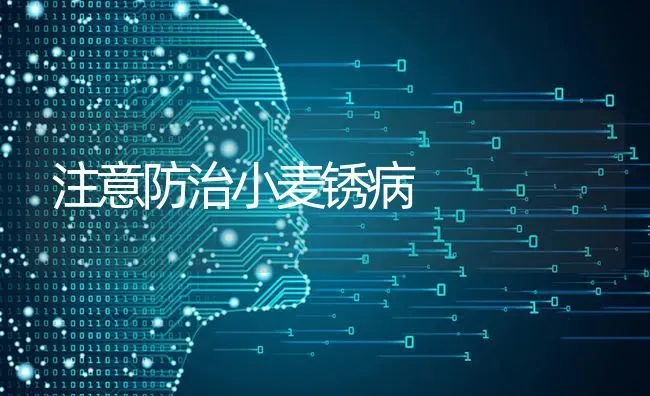 注意防治小麦锈病 | 粮油作物种植