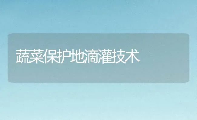蔬菜保护地滴灌技术 | 蔬菜种植