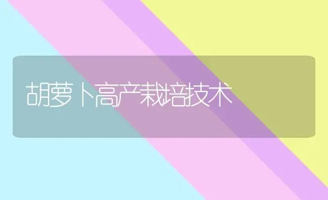 胡萝卜高产栽培技术 | 蔬菜种植