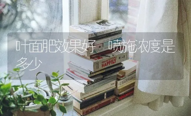 叶面肥效果好 喷施浓度是多少 | 瓜果种植