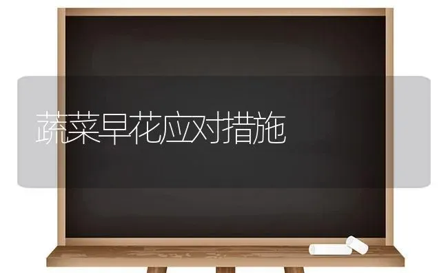 蔬菜早花应对措施 | 蔬菜种植