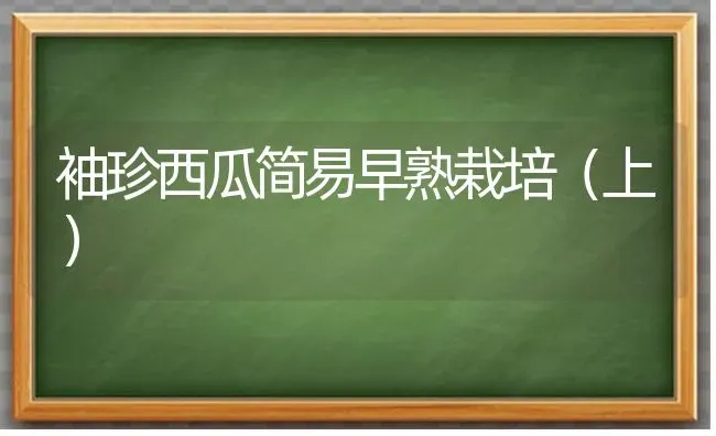 袖珍西瓜简易早熟栽培（上） | 瓜果种植