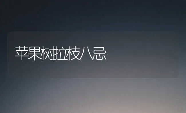 苹果树拉枝八忌 | 瓜果种植