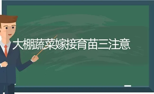 大棚蔬菜嫁接育苗三注意 | 蔬菜种植