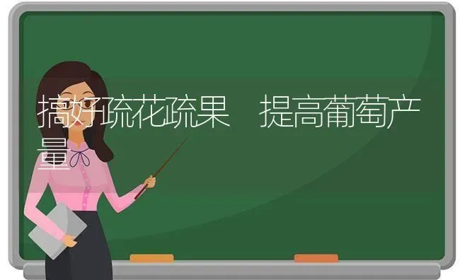 甜瓜伸蔓期管理注意事项 | 瓜果种植