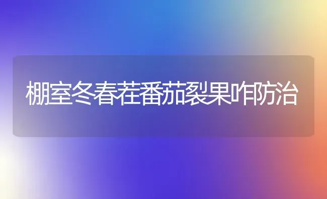 棚室冬春茬番茄裂果咋防治 | 瓜果种植