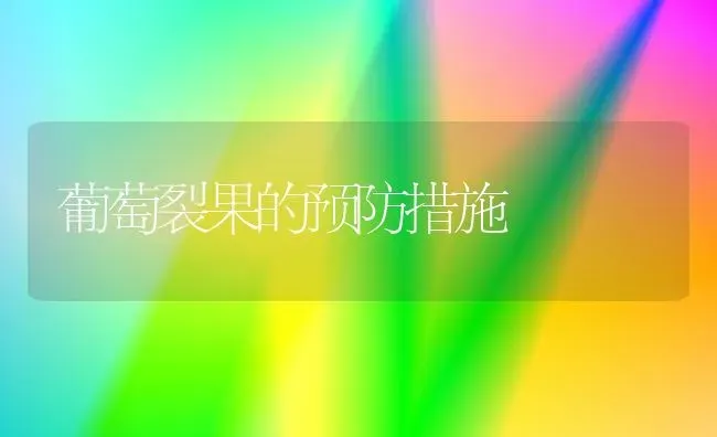 葡萄裂果的预防措施 | 瓜果种植