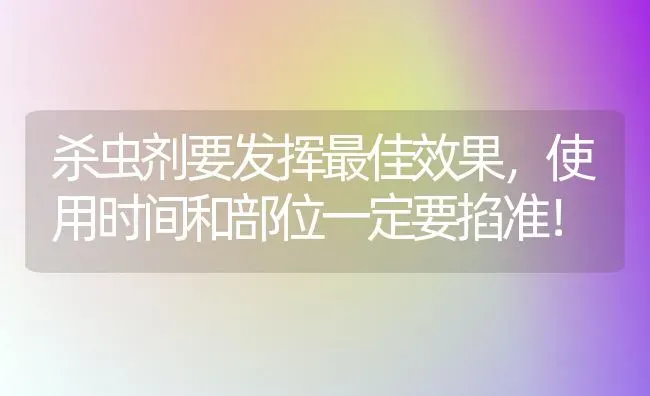 杀虫剂要发挥最佳效果，使用时间和部位一定要掐准！ | 瓜果种植