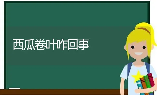 西瓜卷叶咋回事 | 瓜果种植