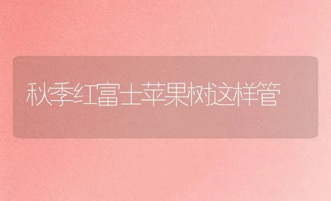 秋季红富士苹果树这样管 | 瓜果种植