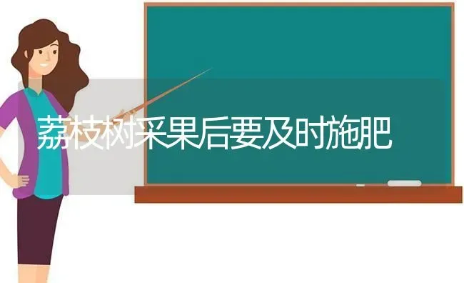 荔枝树采果后要及时施肥 | 瓜果种植