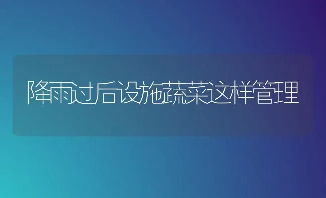 降雨过后设施蔬菜这样管理 | 蔬菜种植