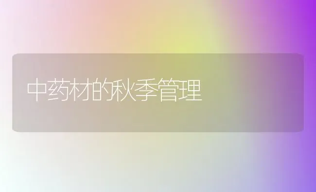 中药材的秋季管理 | 药材种植