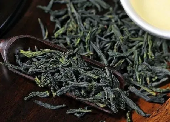 果实保存|茶叶的最佳保存方法