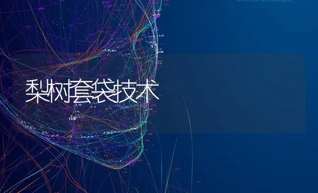 梨树套袋技术 | 瓜果种植