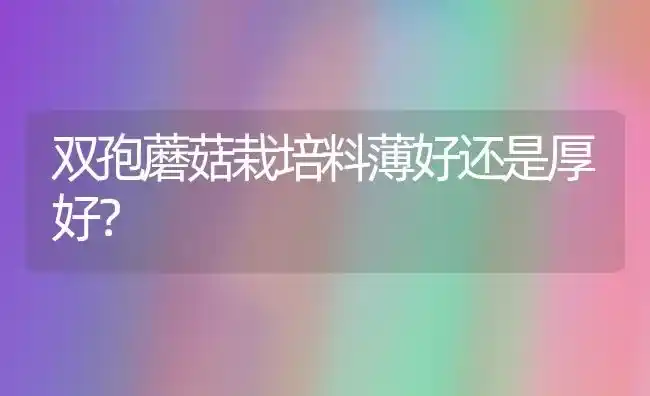 双孢蘑菇栽培料薄好还是厚好? | 食用菌种植