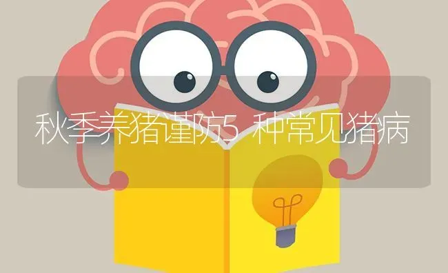 提高果园经济效益学六法 | 瓜果种植