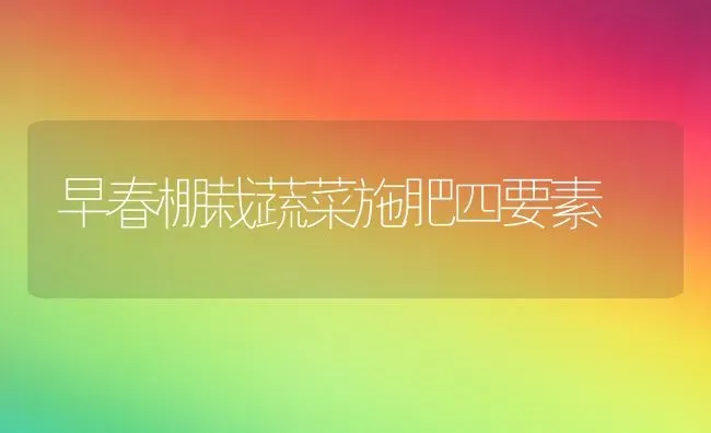 早春棚栽蔬菜施肥四要素 | 蔬菜种植