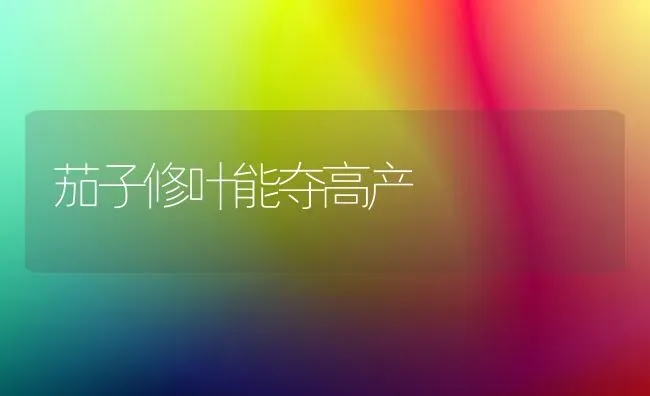 茄子修叶能夺高产 | 蔬菜种植