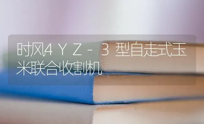 时风4YZ-3型自走式玉米联合收割机 | 粮油作物种植