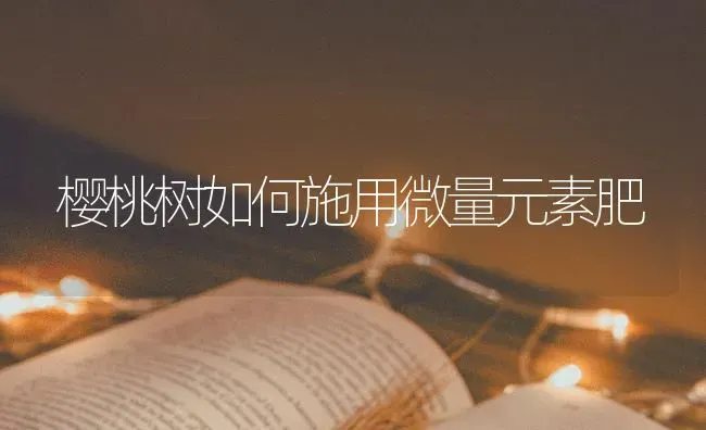 樱桃树如何施用微量元素肥 | 瓜果种植